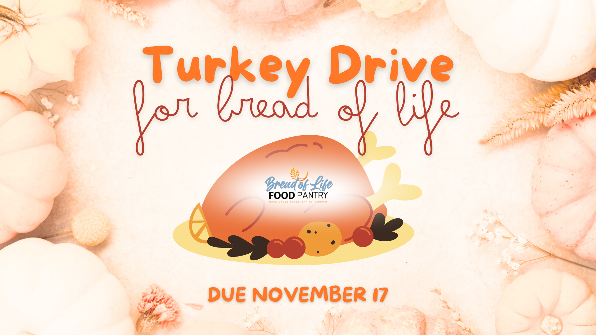 BOL Turkey Drive.png